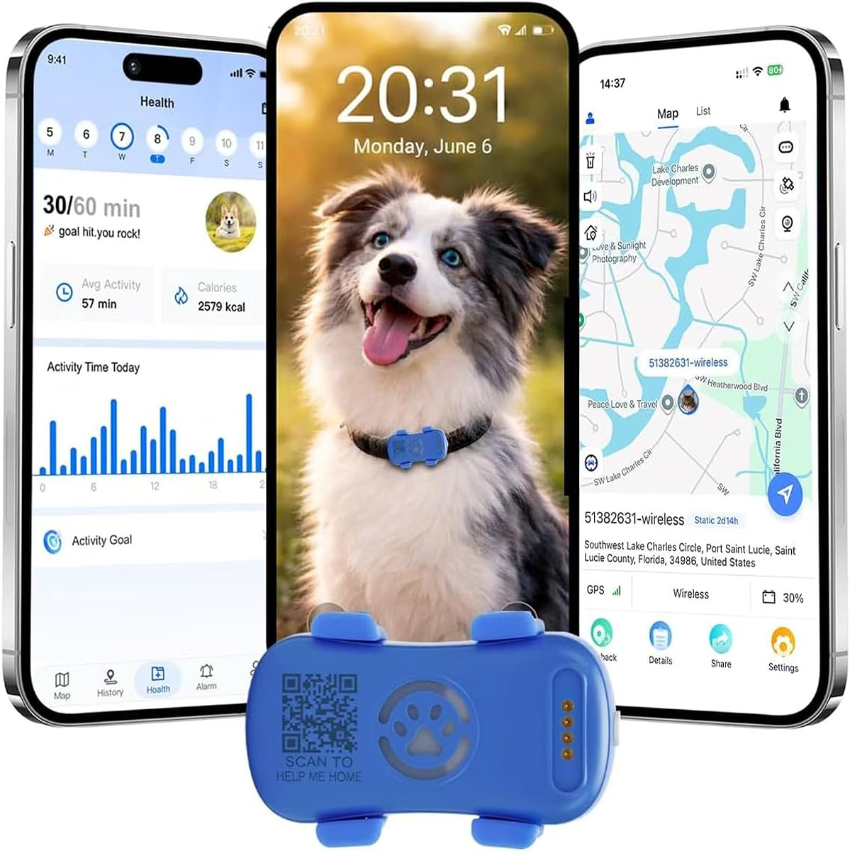 Fotografía técnica oficial de Collar Gato GPS Perro, Collar GPS para Perros con Seguimiento Satelital 4G - Vista frontal con fondo blanco